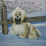 (image for) Frosty Friend